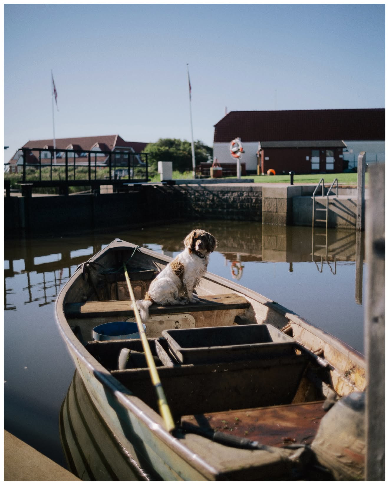 FIRST MATE