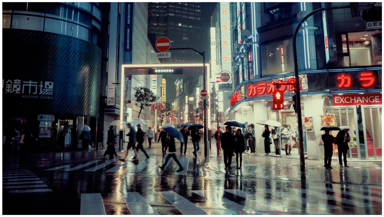 THE CROSSING